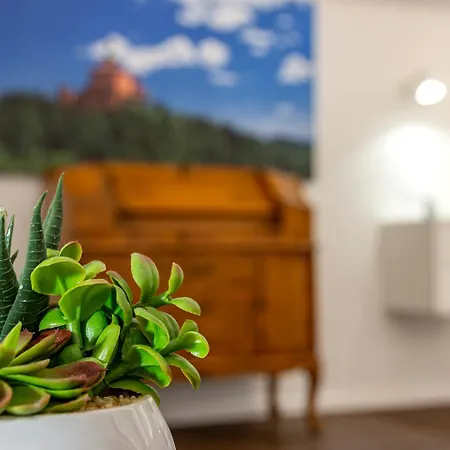 Righi Apartment *